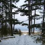 Nordsee Appartement
